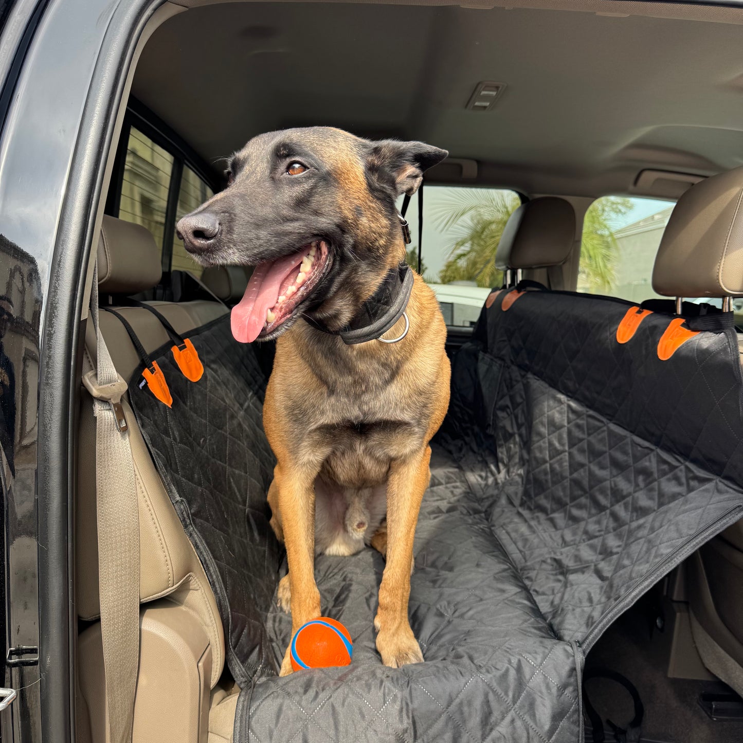 The Drool Hammock™ - Dog Backseat Cover